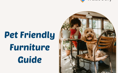 Pet Friendly Furniture Guide