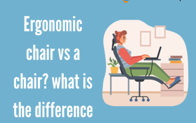 Ergonomic chair vs a chair? What is the difference